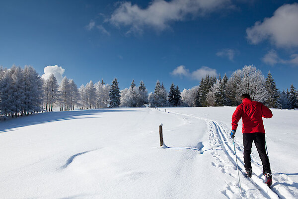 Langlaufen am Nationalpark Bayerischer Wald